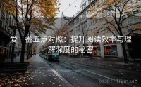 爱一番五点对照：提升阅读效率与理解深度的秘密
