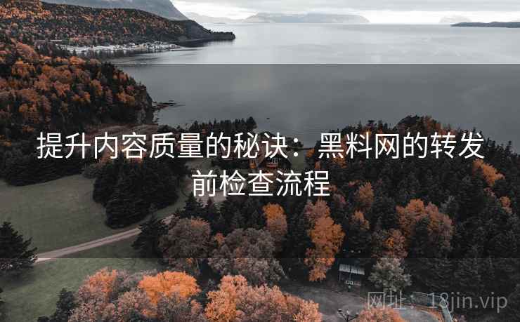 提升内容质量的秘诀：黑料网的转发前检查流程